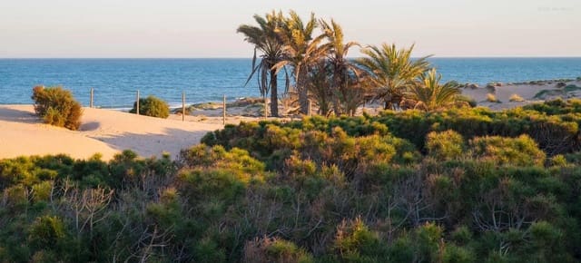 2 quarto Moradia Geminada para venda em Guardamar del Segura - 115 000 € (Ref: 9791236)