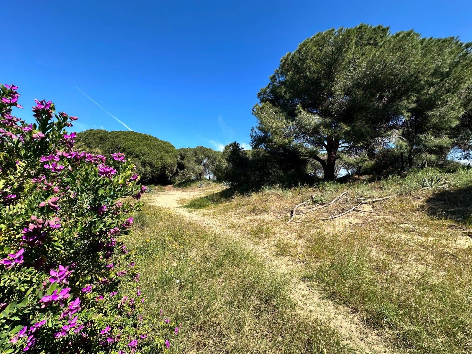 2 quarto Moradia Geminada para venda em Guardamar del Segura - 115 000 € (Ref: 9791236)