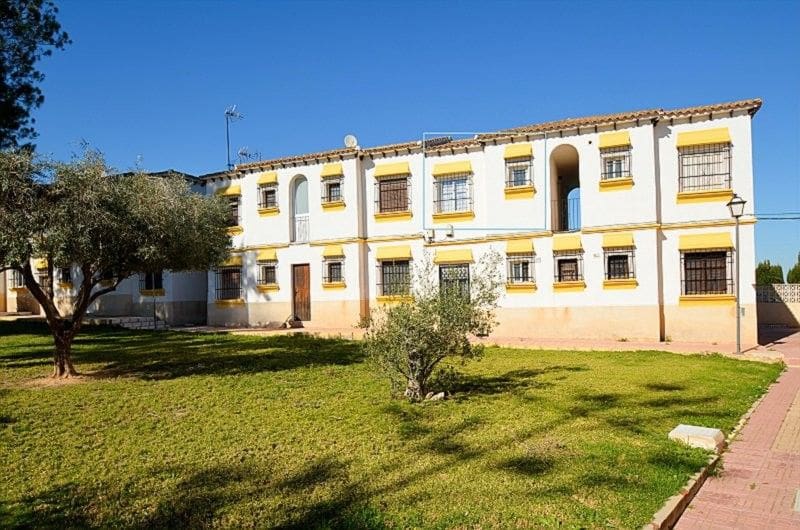 1 chambre Appartement à vendre à San Miguel de Salinas - 118 500 € (Ref: 9797277)