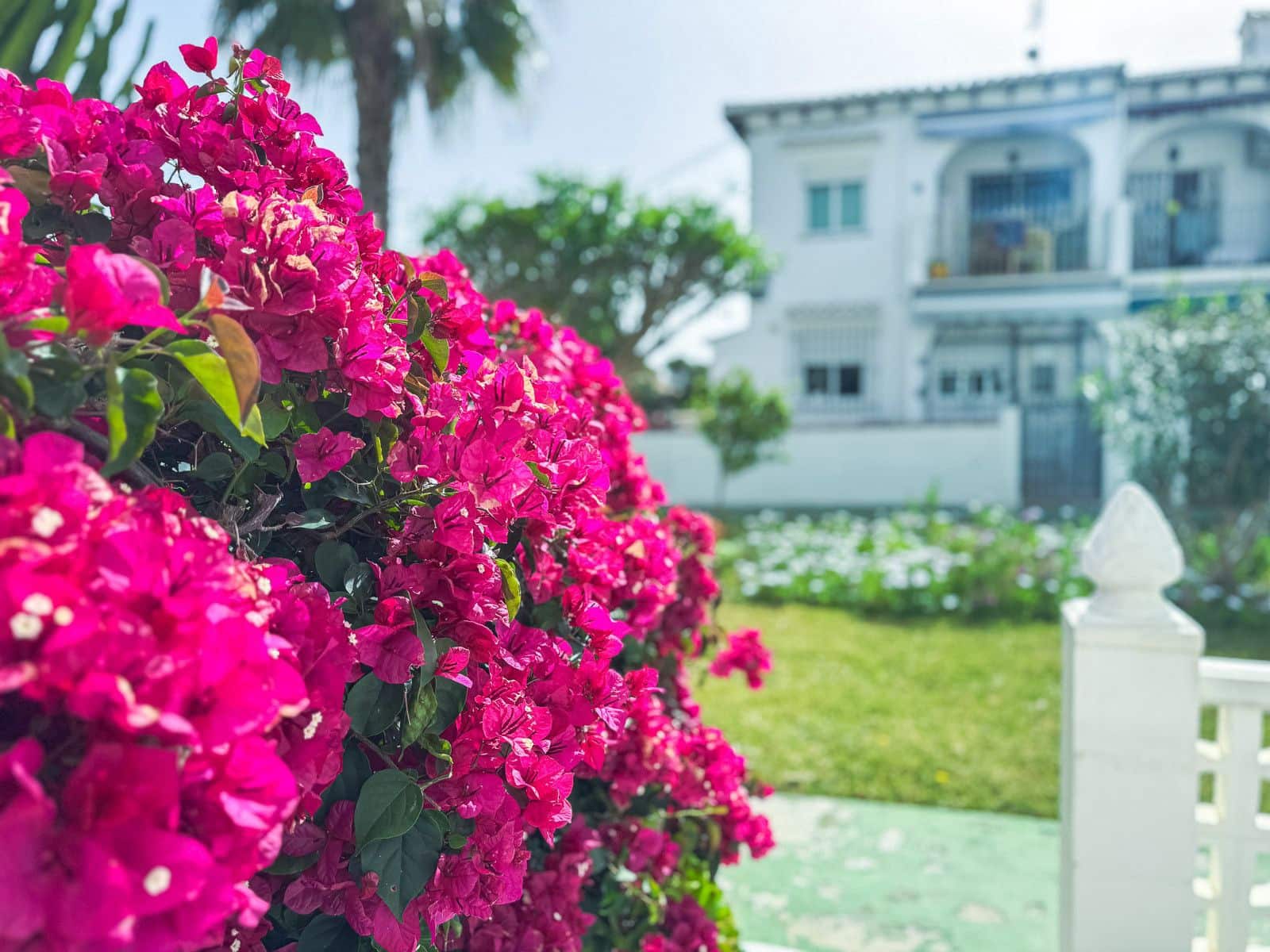 1 makuuhuone Bungalow myytävänä paikassa Torrevieja - 125 000 € (Ref: 9799442)