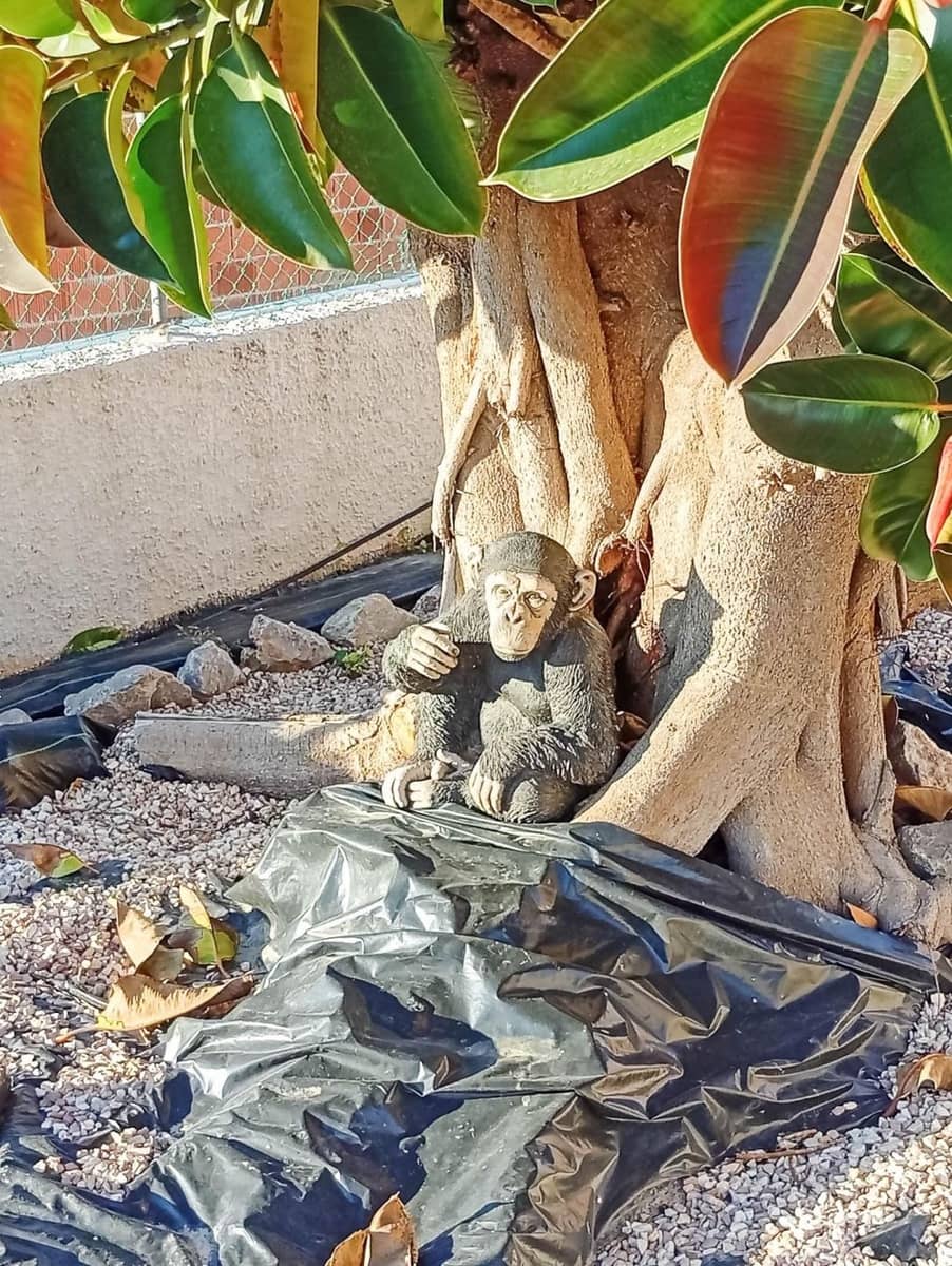 4 sovrum Villa till salu i Torrevieja - 460 000 € (Ref: 9801334)