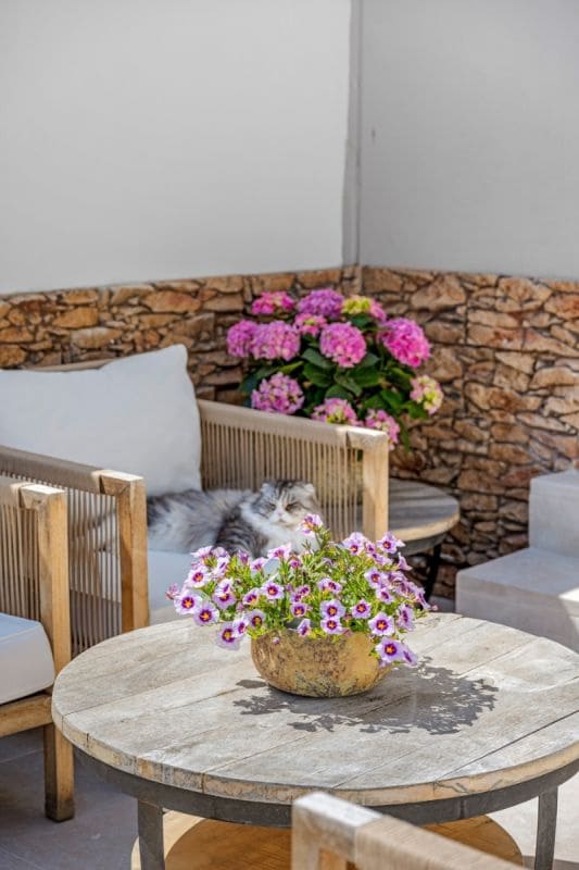 4 chambre Villa/Maison Mitoyenne à vendre à Alicante ville - 669 000 € (Ref: 9816021)
