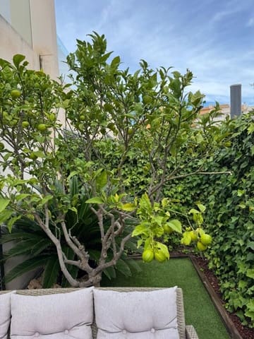 3 soveværelse Rækkehus til salg i Punta Prima, Torrevieja med swimmingpool - € 355.000 (Ref: 9846594)