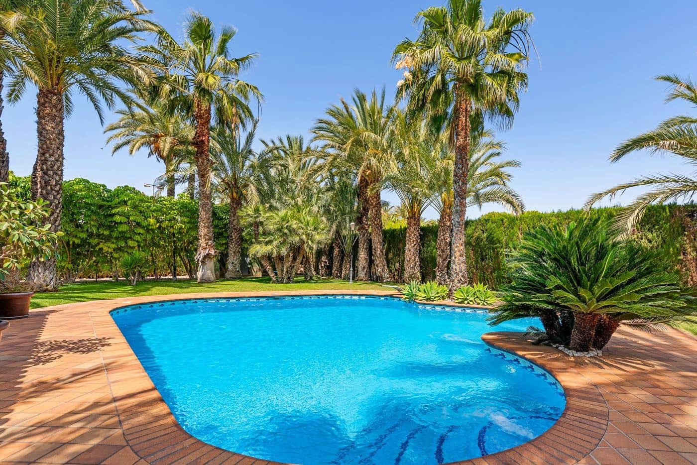 5 soveværelse Villa til salg i Elche / Elx med swimmingpool - € 1.165.000 (Ref: 9868747)