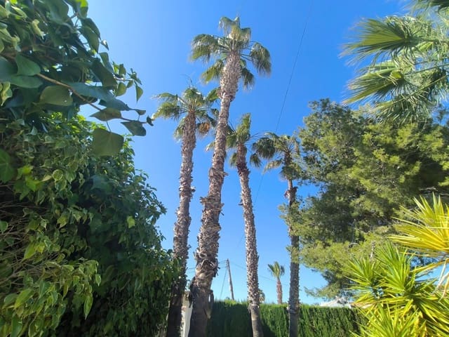 5 soverom Villa til salgs i El Chaparral, Torrevieja med svømmebasseng - € 630 000 (Ref: 9870257)