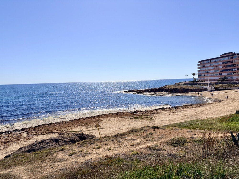 2 chambre Bungalow à vendre à Torrevieja - 157 500 € (Ref: 9879073)