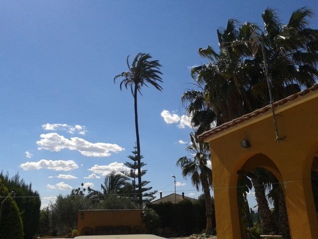 Finca/Country House for sale in Orihuela with pool - € 149,000 (Ref: 9916991)