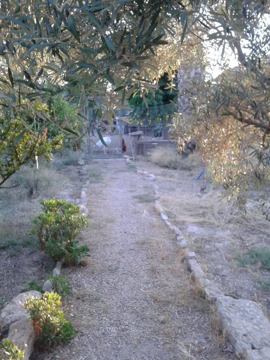 Finca/Country House for sale in Orihuela with pool - € 149,000 (Ref: 9916991)