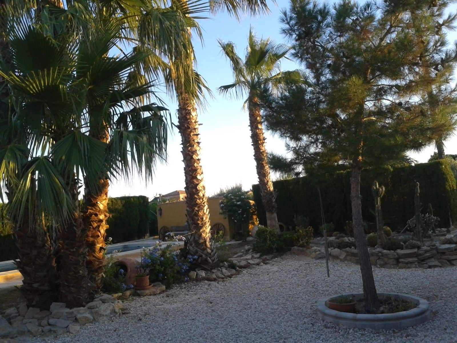 Finca/Country House for sale in Orihuela with pool - € 149,000 (Ref: 9916991)