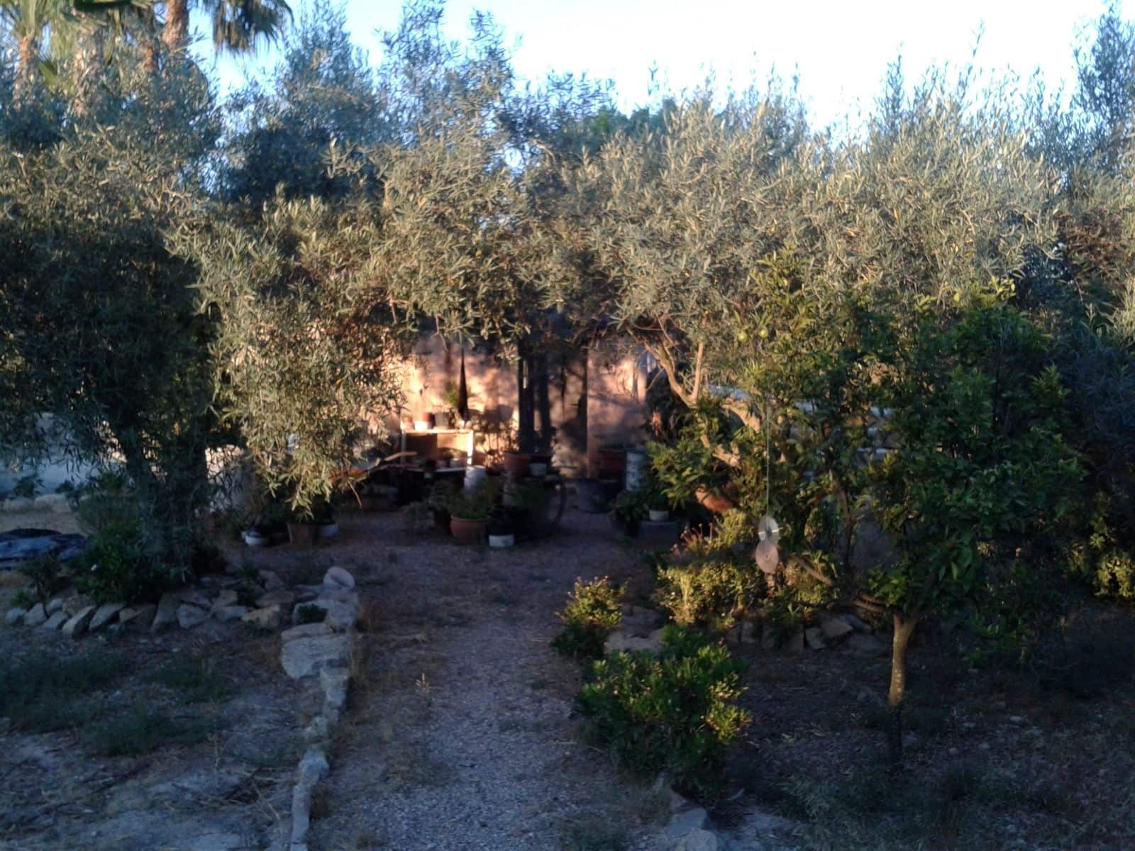 Finca/Country House for sale in Orihuela with pool - € 149,000 (Ref: 9916991)