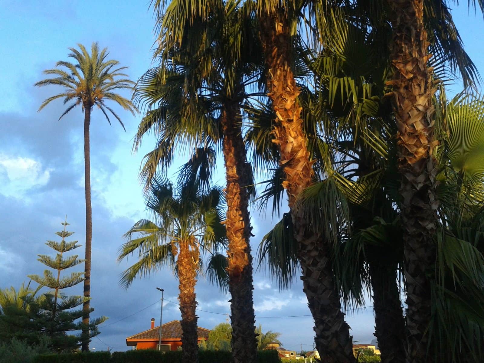 Finca/Country House for sale in Orihuela with pool - € 149,000 (Ref: 9916991)
