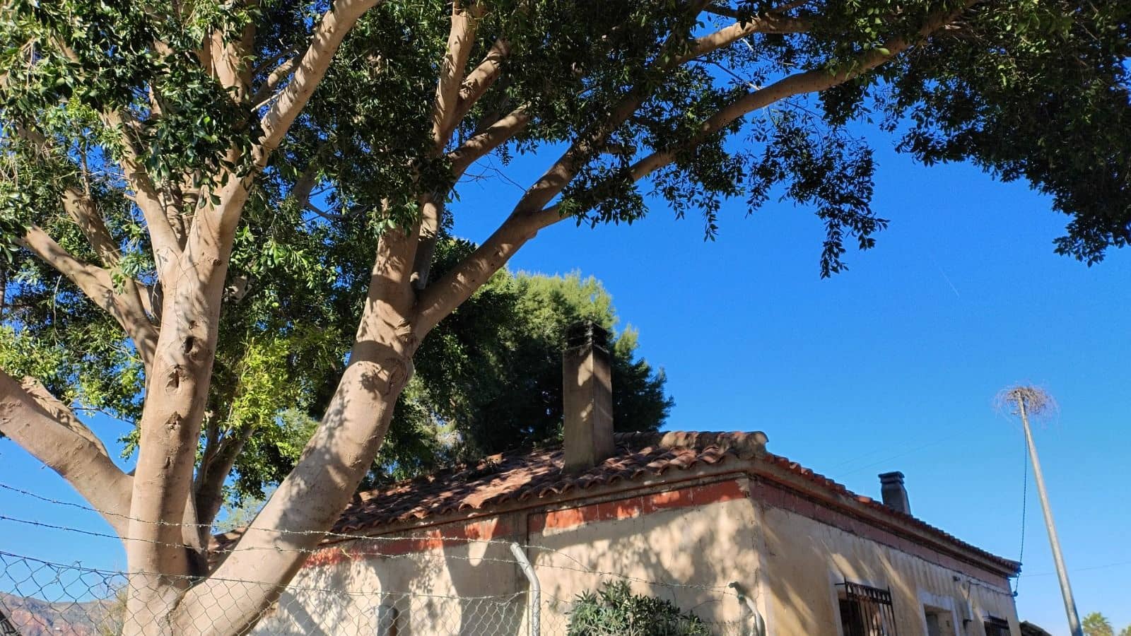 Finca/Country House for sale in Orihuela with pool - € 149,000 (Ref: 9916991)