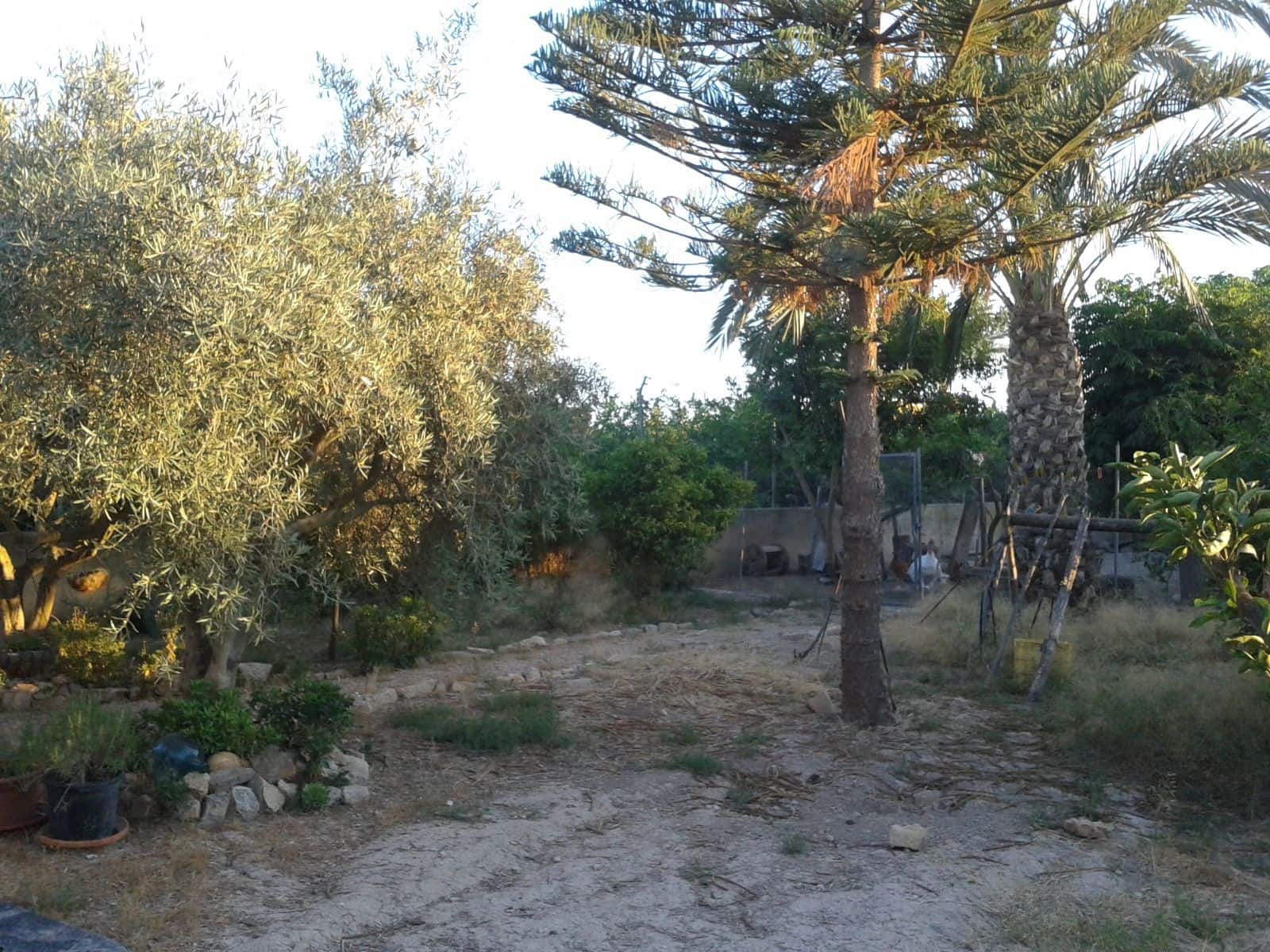 Finca/Country House for sale in Orihuela with pool - € 149,000 (Ref: 9916991)