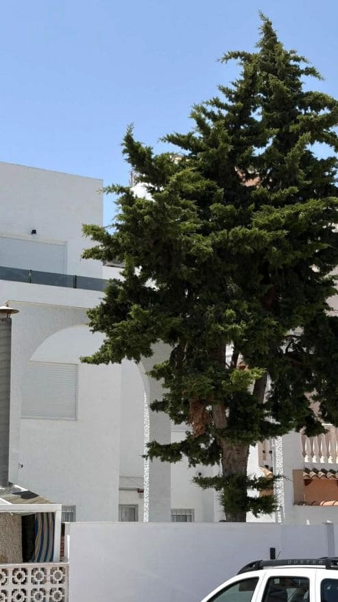 3 soveværelse Rækkehus til salg i Torrevieja - € 259.900 (Ref: 9944181)