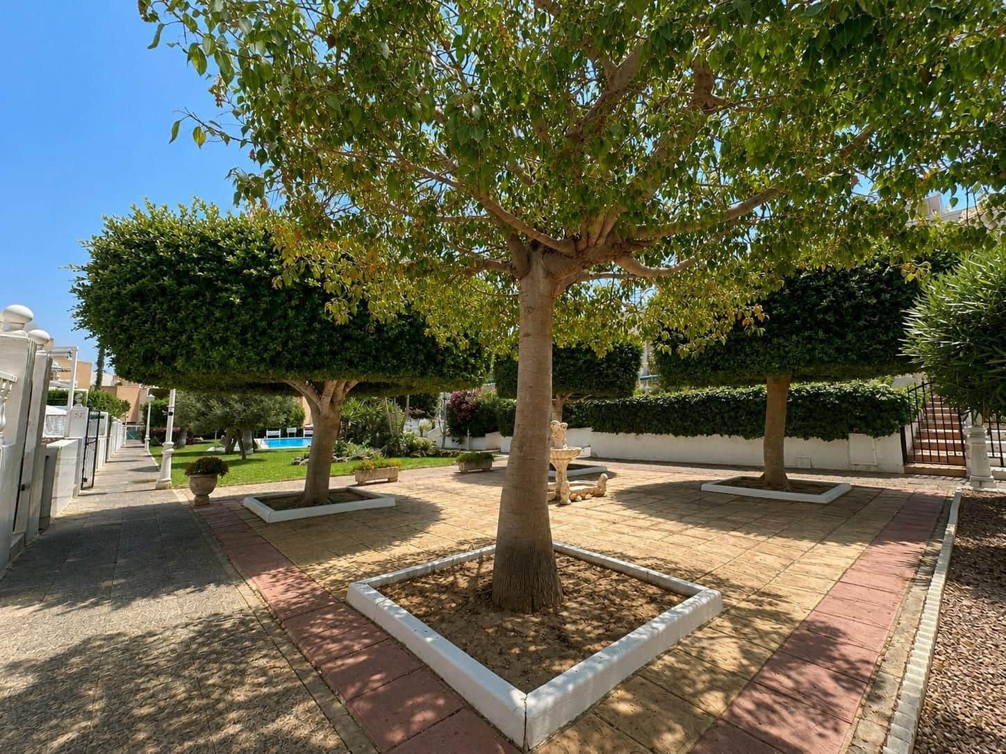 1 chambre Bungalow à vendre à Torrevieja - 146 900 € (Ref: 9955151)