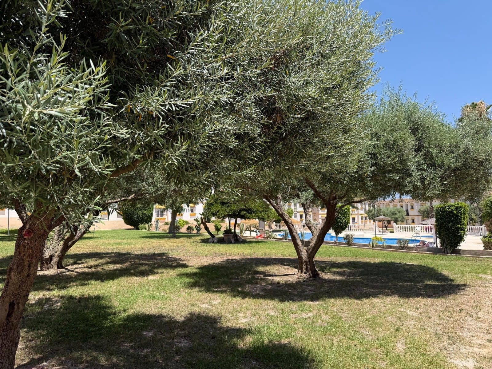 1 soverom Leilighet til salgs i San Miguel de Salinas - € 110 000 (Ref: 9977460)