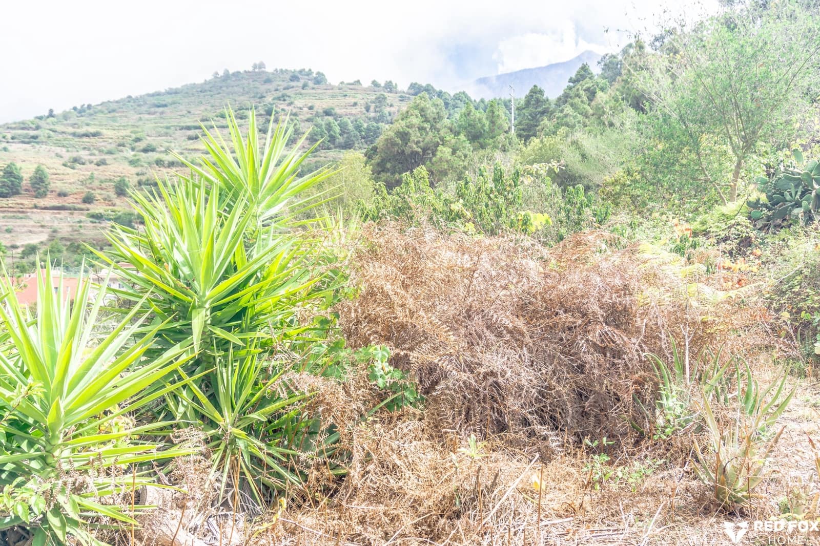 3 soveværelse Byhus til salg i La Guancha med garage - € 313.000 (Ref: 8600347)