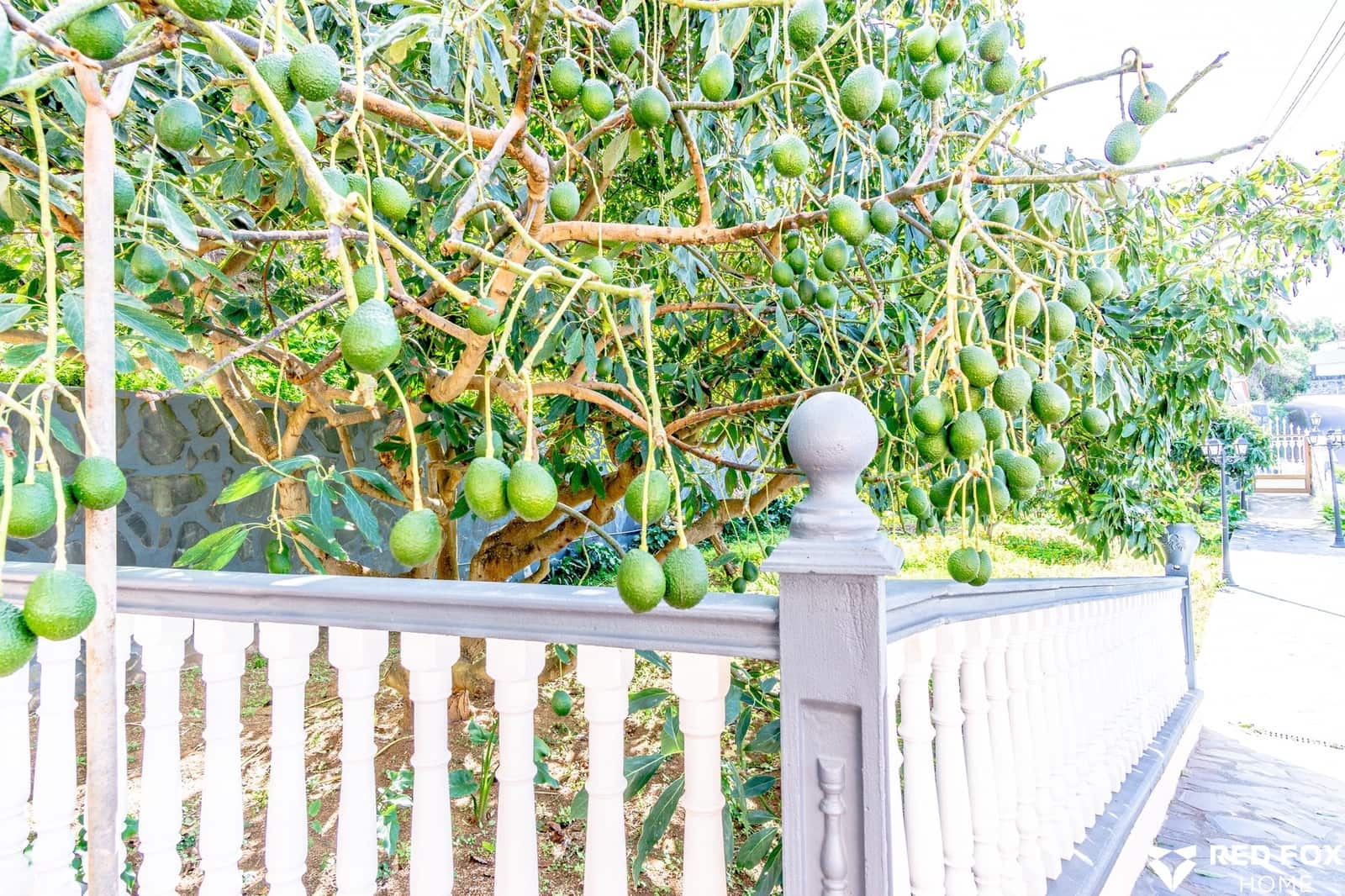 8 soveværelse Villa til salg i Los Silos med garage - € 525.000 (Ref: 8765743)