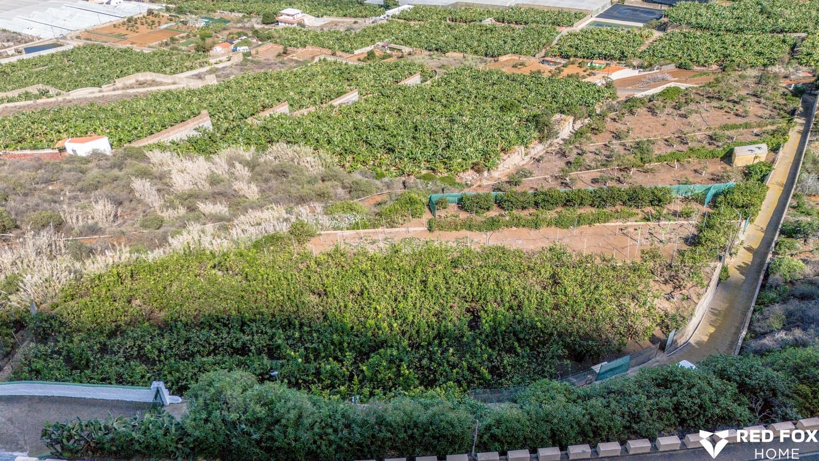 Mark till salu i Buenavista del Norte - 500 000 € (Ref: 8765965)