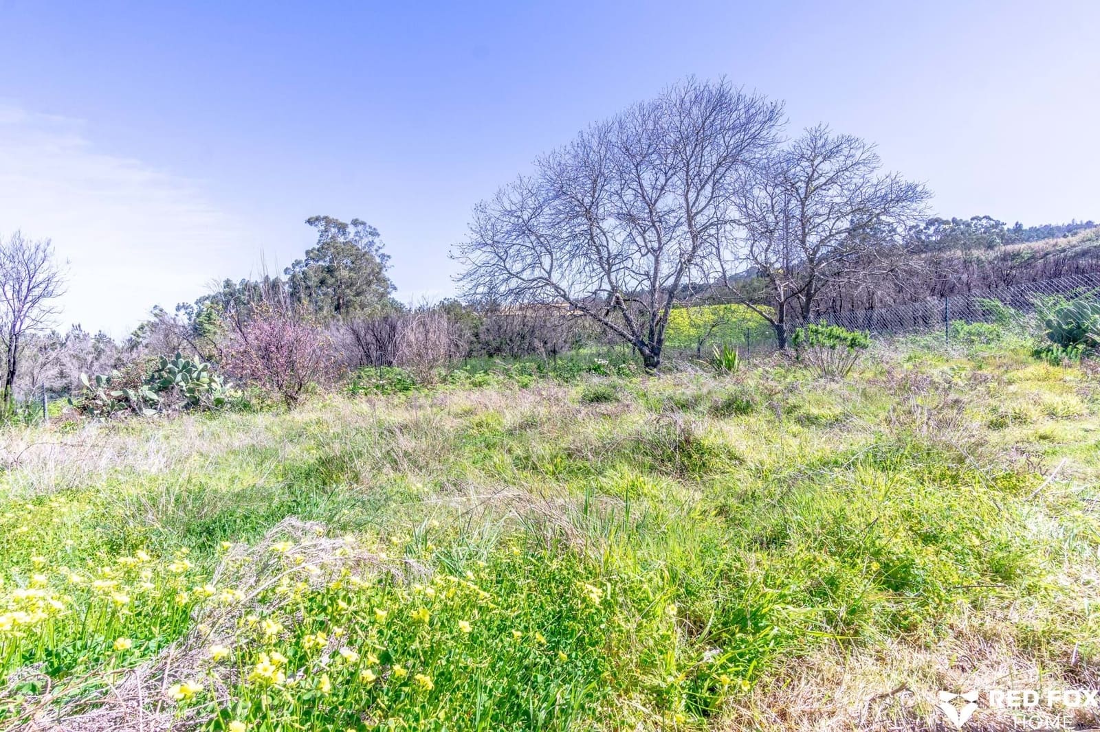 4 quarto Moradia para venda em El Sauzal - 750 000 € (Ref: 8842229)