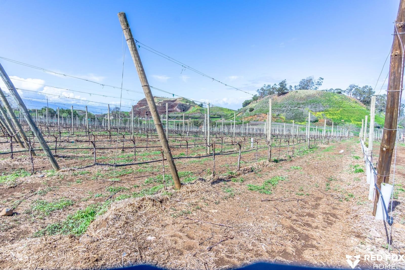 2 soveværelse Villa til salg i La Matanza de Acentejo med garage - € 1.260.000 (Ref: 8903184)