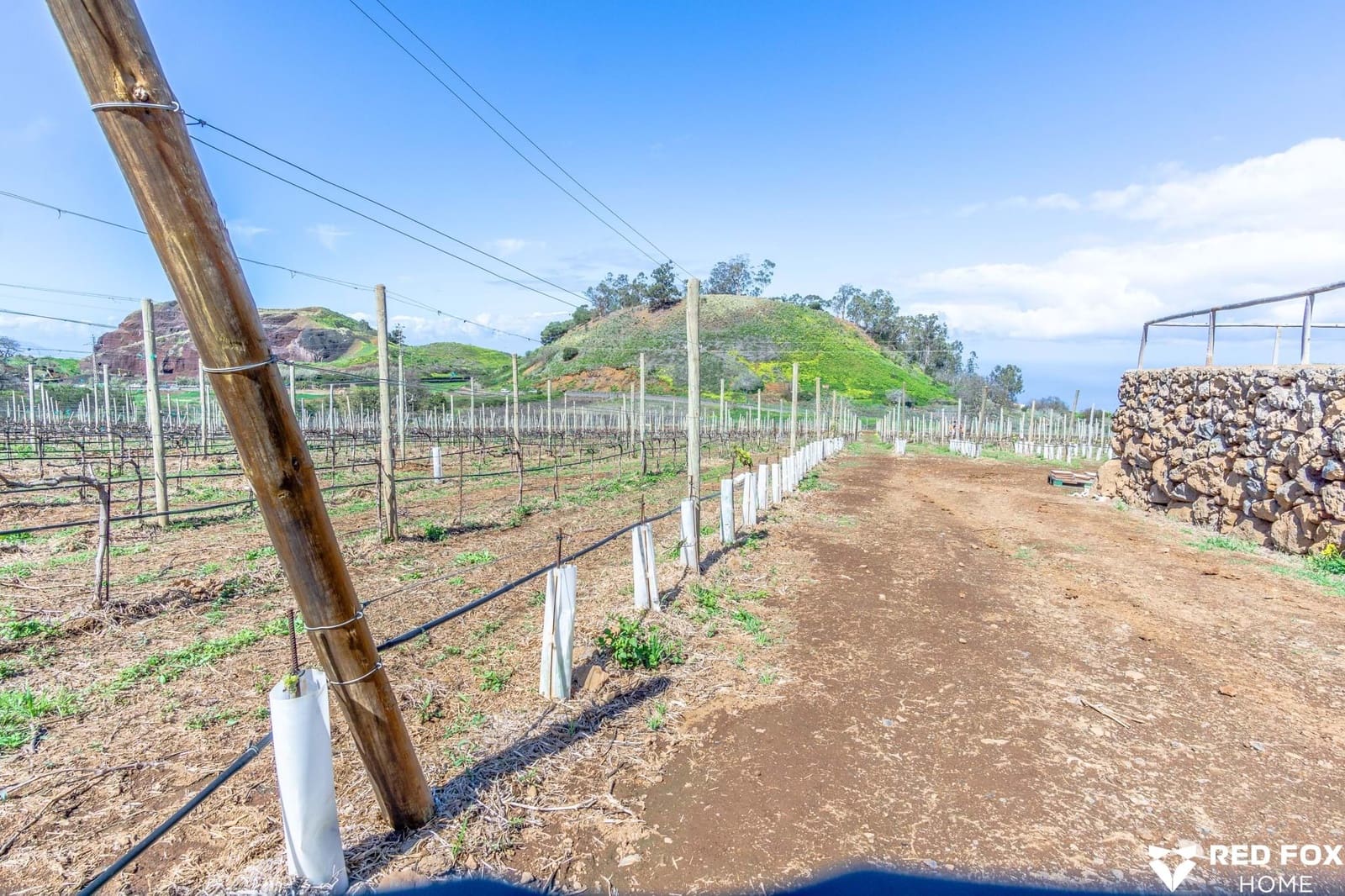 2 soveværelse Villa til salg i La Matanza de Acentejo med garage - € 1.260.000 (Ref: 8903184)