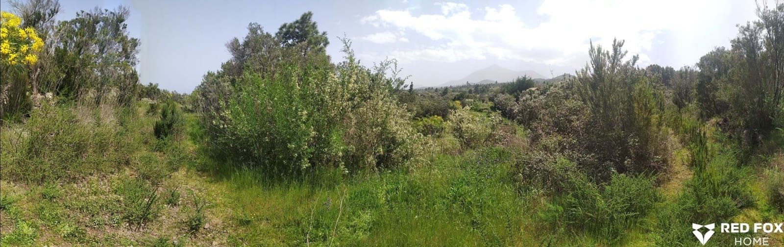 Ubebygd land til salgs i El Tanque - € 200 000 (Ref: 9409694)