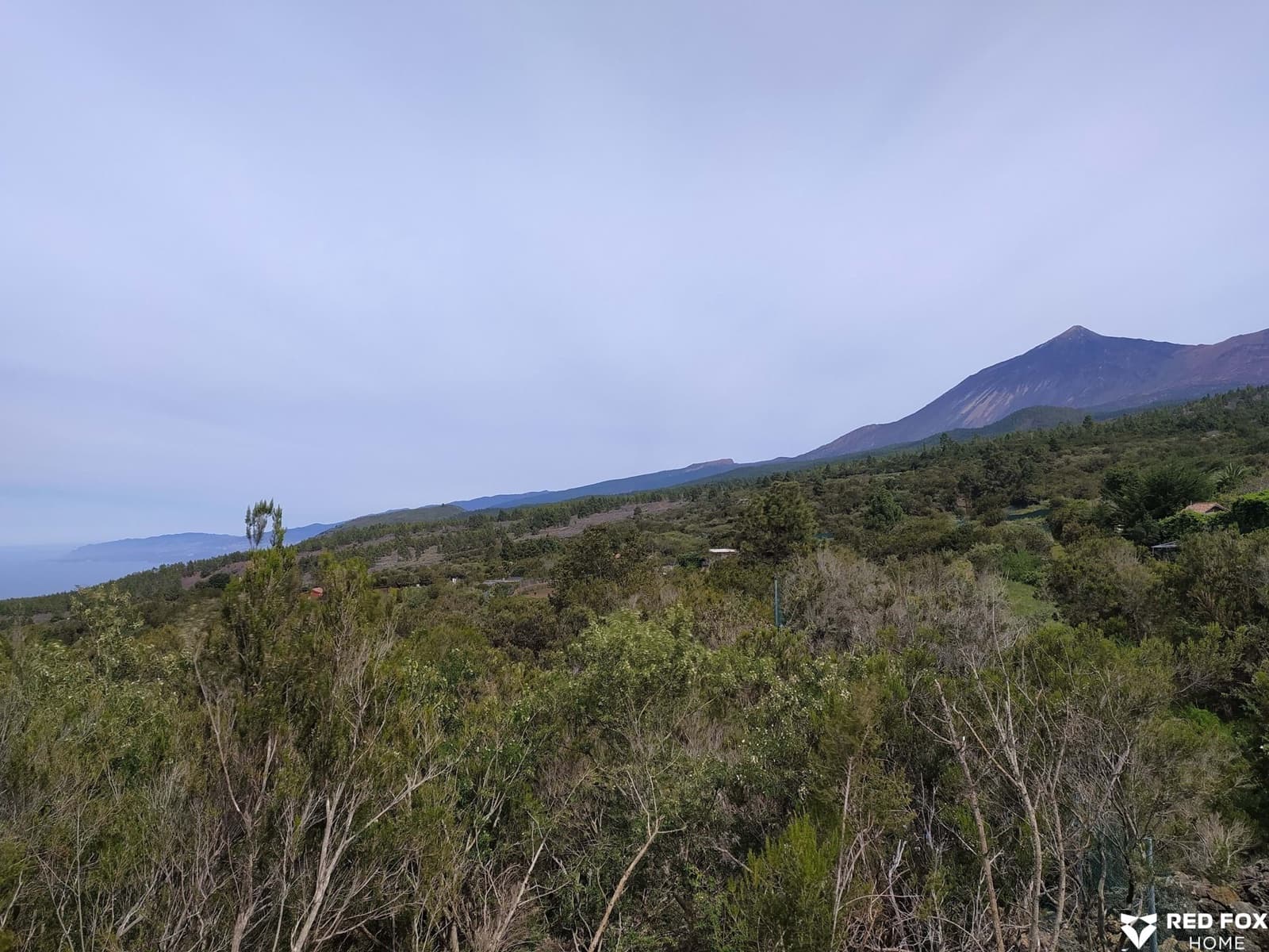 Ubebygd land til salgs i El Tanque - € 200 000 (Ref: 9409694)