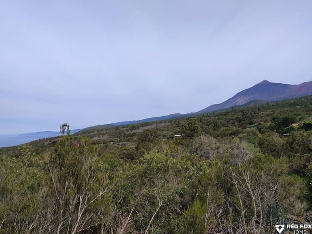 Mark till salu i El Tanque - 200 000 € (Ref: 9409694)