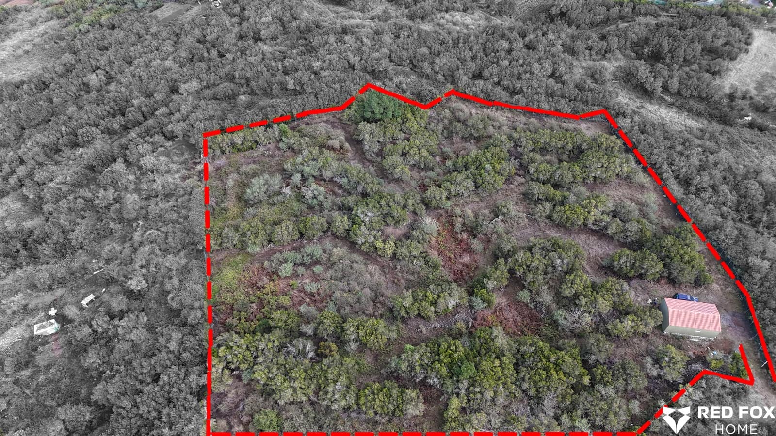 Ubebygd land til salgs i El Tanque - € 200 000 (Ref: 9409694)