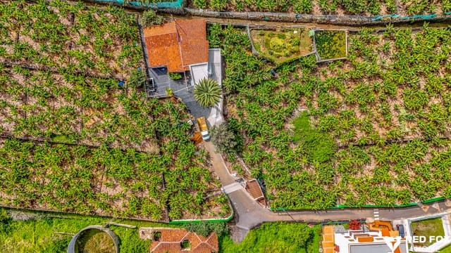 2 bedroom Apartment for rent in Puerto de la Cruz with garage - € 1,300 (Ref: 9694113)