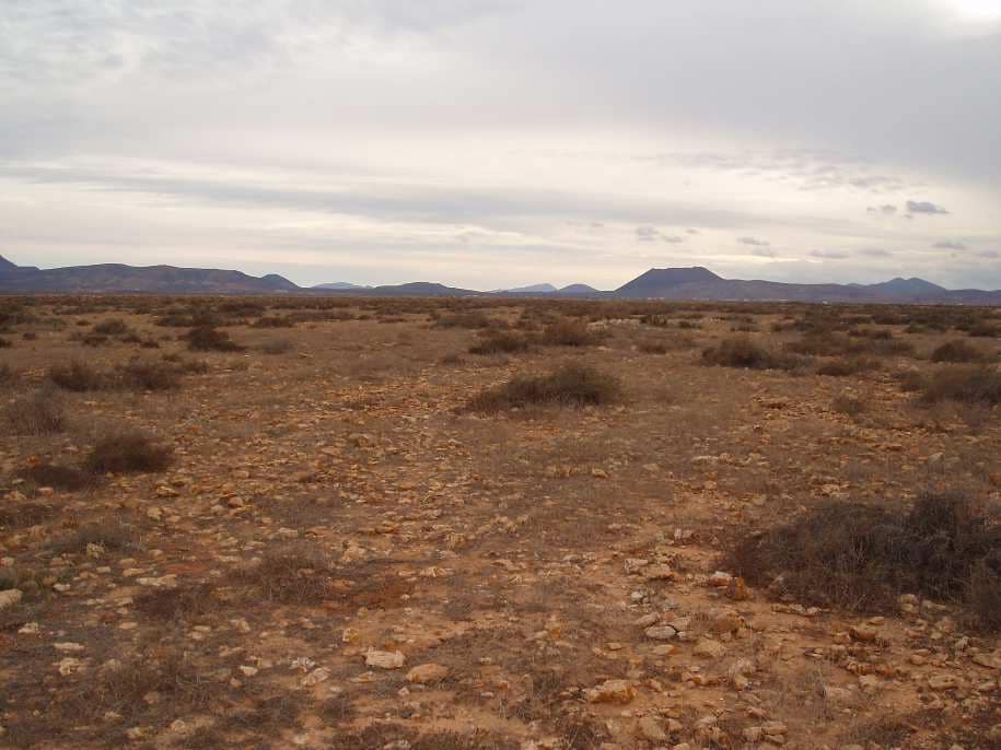 Grunde uden byggetilladelser til salg i Triquivijate - € 628.560 (Ref: 7812636)