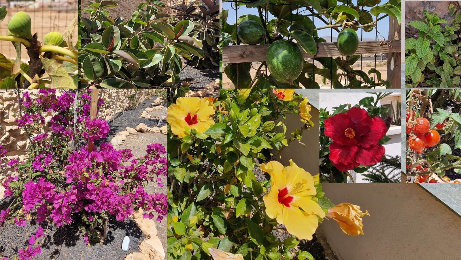 2 soveværelse Villa til salg i Antigua med swimmingpool garage - € 439.000 (Ref: 9107993)