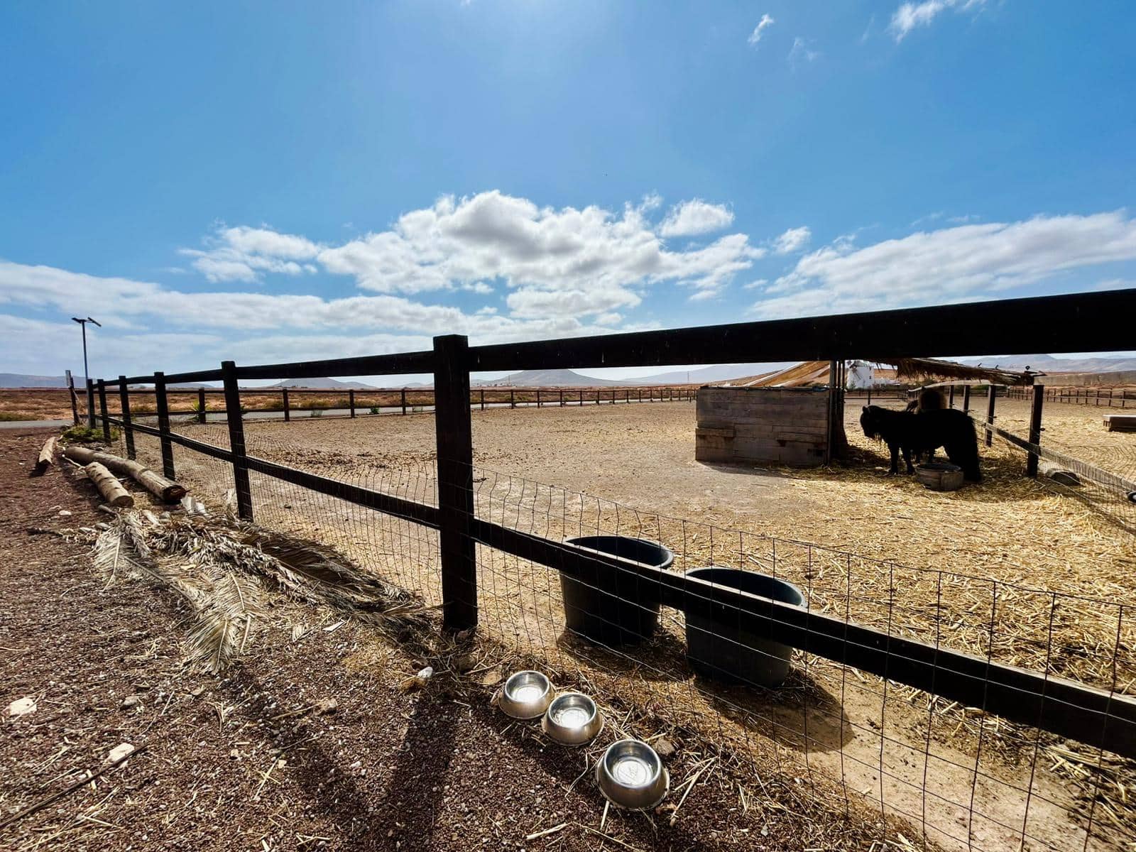 5 soveværelse Villa til salg i Triquivijate med swimmingpool garage - € 499.000 (Ref: 9231728)