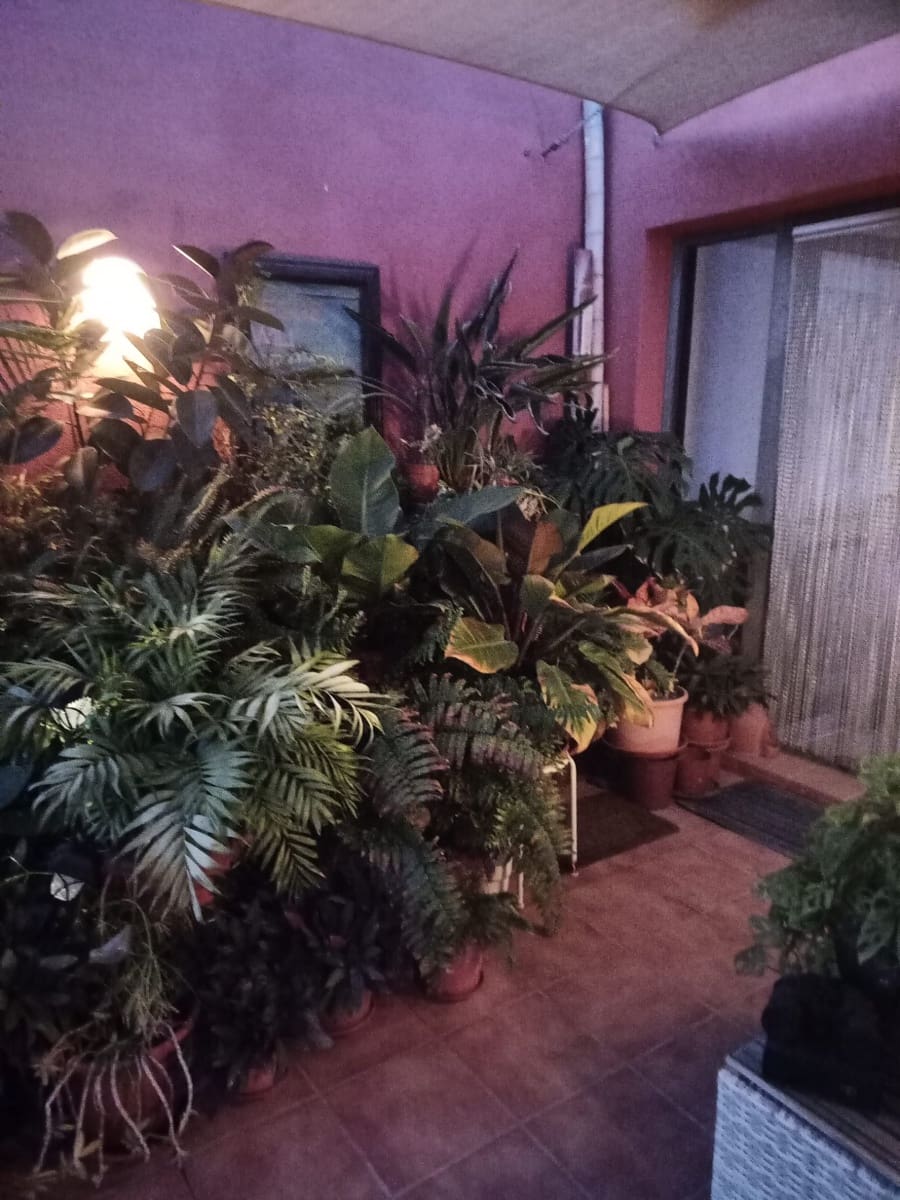 3 chambre Maison de Ville à vendre à Caleta de Fuste avec piscine garage - 279 000 € (Ref: 9642859)