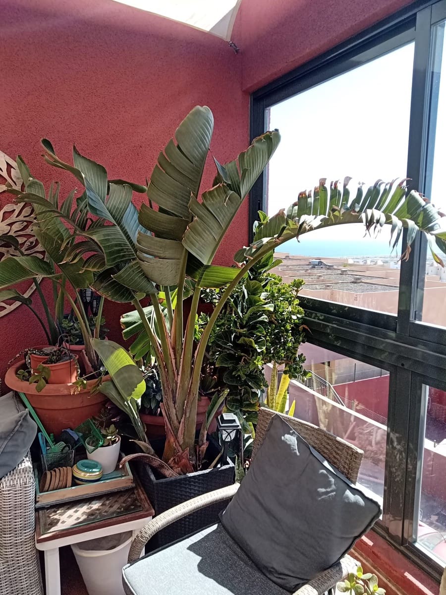 3 chambre Maison de Ville à vendre à Caleta de Fuste avec piscine garage - 279 000 € (Ref: 9642859)