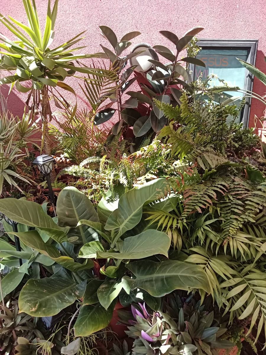 3 chambre Maison de Ville à vendre à Caleta de Fuste avec piscine garage - 279 000 € (Ref: 9642859)