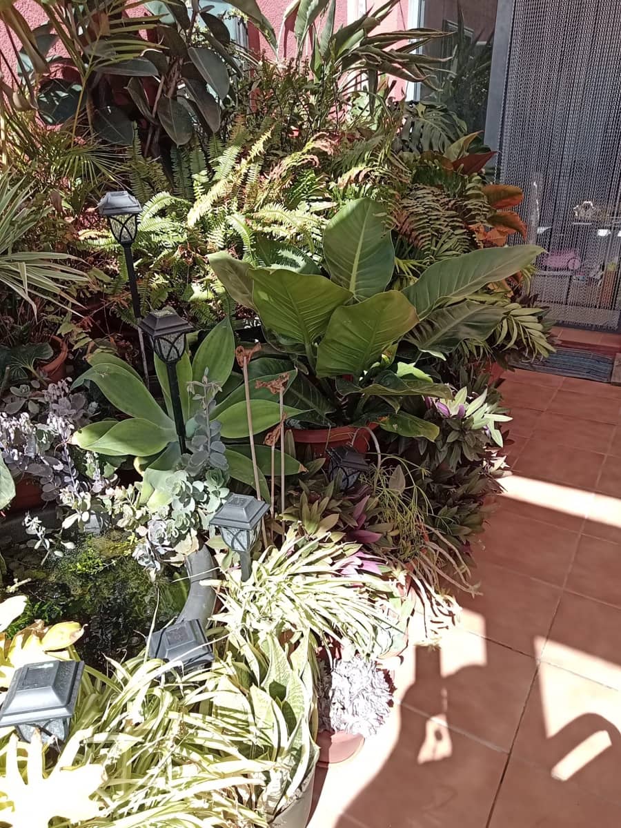 3 chambre Maison de Ville à vendre à Caleta de Fuste avec piscine garage - 279 000 € (Ref: 9642859)