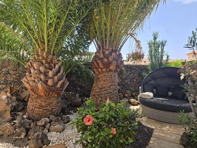 4 chambre Villa/Maison à vendre à Caleta de Fuste avec piscine - 849 000 € (Ref: 9798101)