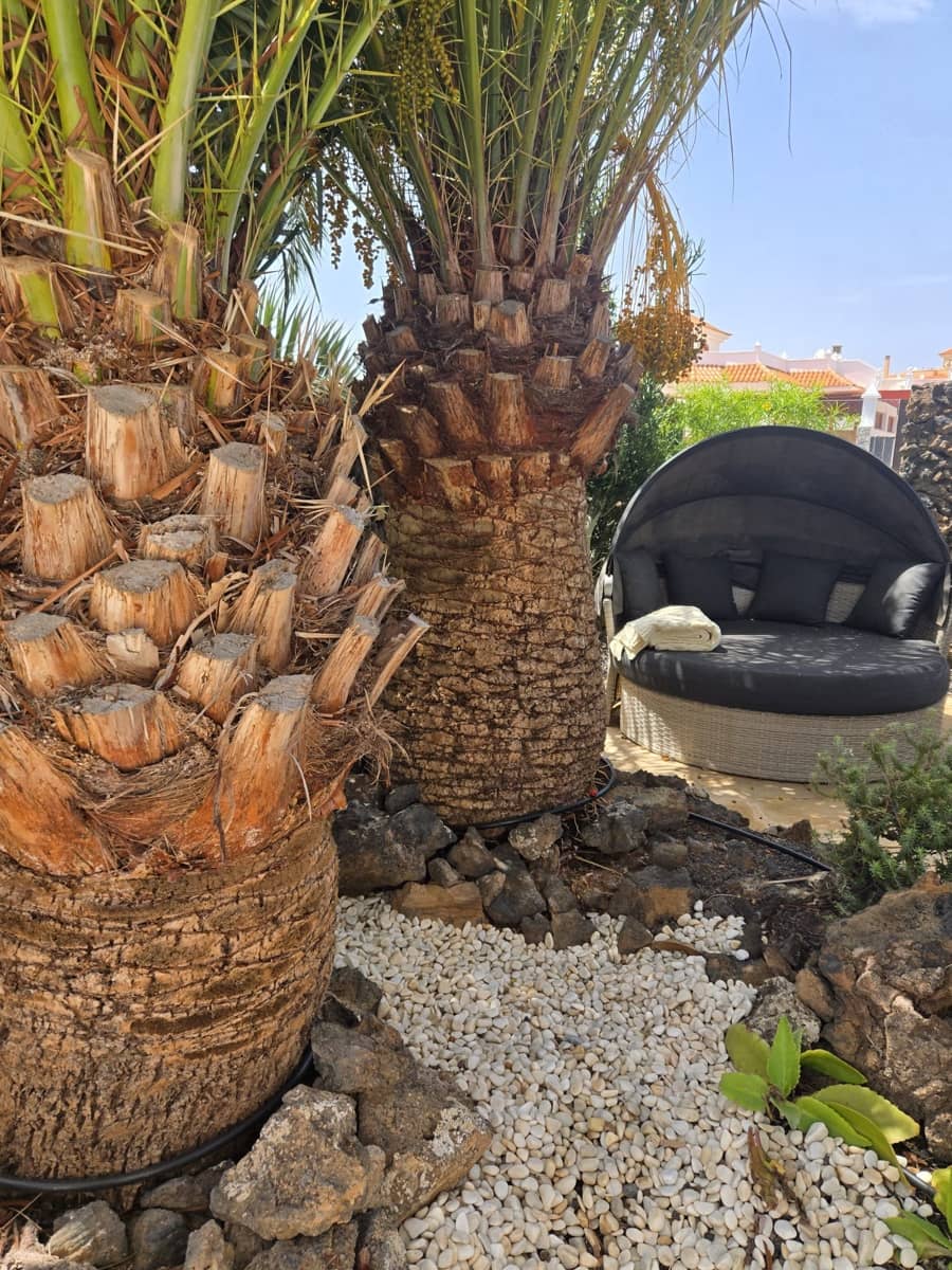 4 chambre Villa/Maison à vendre à Caleta de Fuste avec piscine - 849 000 € (Ref: 9798101)