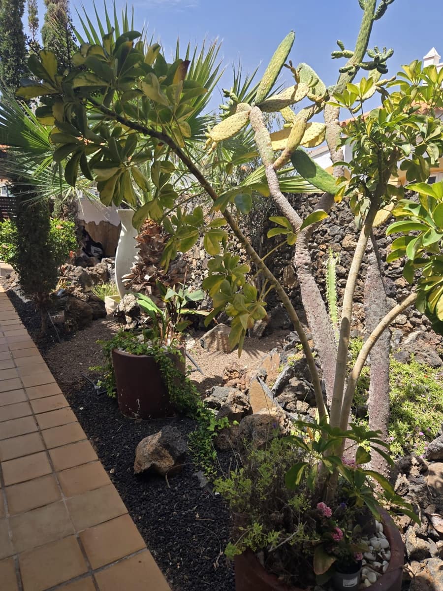 4 chambre Villa/Maison à vendre à Caleta de Fuste avec piscine - 849 000 € (Ref: 9798101)