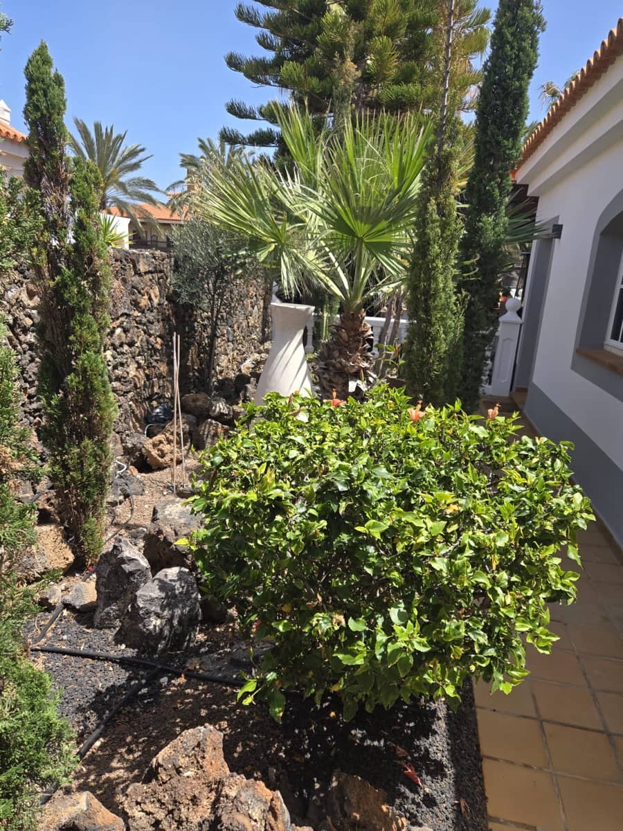 4 chambre Villa/Maison à vendre à Caleta de Fuste avec piscine - 849 000 € (Ref: 9798101)