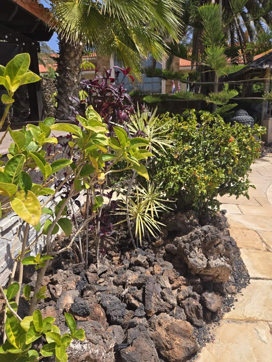 4 chambre Villa/Maison à vendre à Caleta de Fuste avec piscine - 849 000 € (Ref: 9798101)