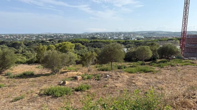 Mark till salu i Sotogrande, San Roque - 1 150 000 € (Ref: 10020418)