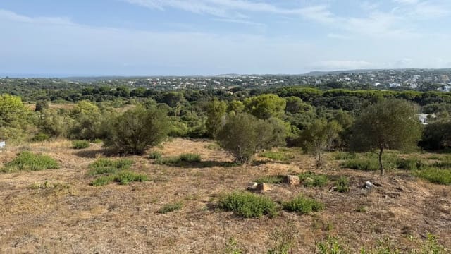 Mark till salu i Sotogrande, San Roque - 1 150 000 € (Ref: 10020418)