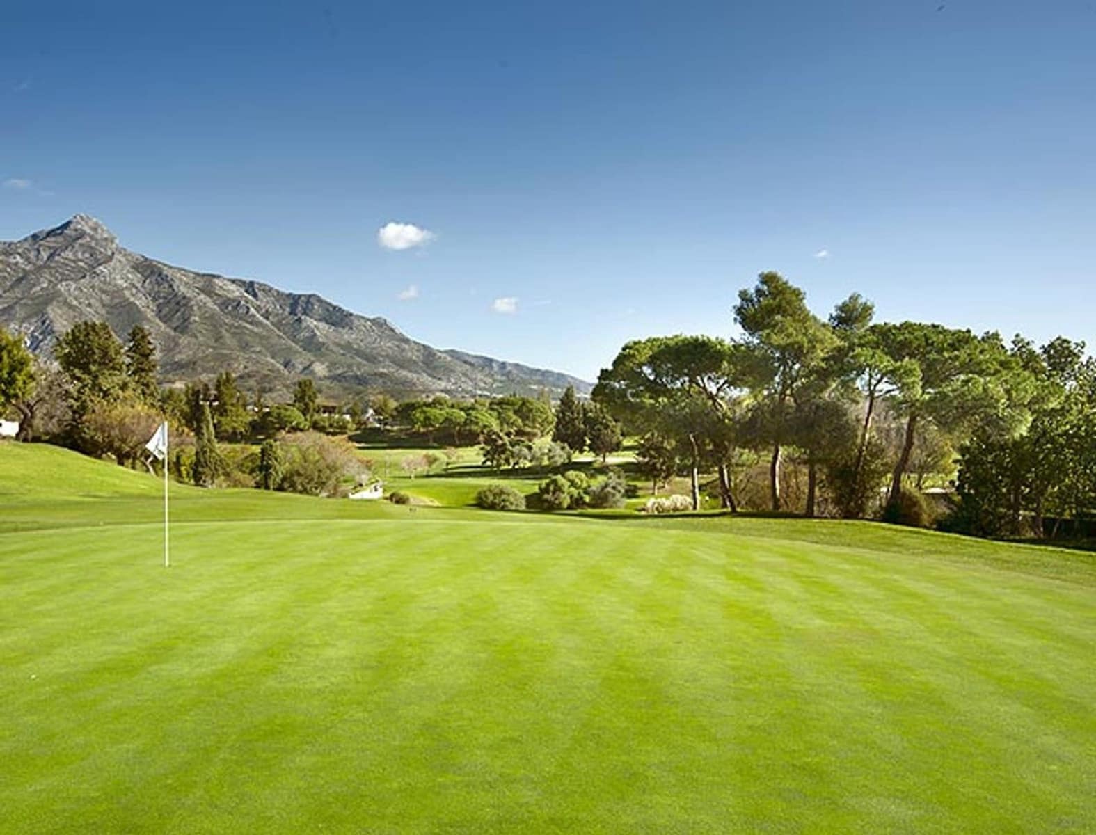 2 slaapkamer Appartement te koop in Nueva Andalucia - € 670.000 (Ref: 10020424)