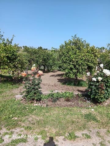 Undeveloped Land for sale in El Padrón, Estepona - € 550,000 (Ref: 10020501)