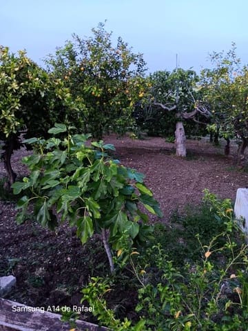 Undeveloped Land for sale in El Padrón, Estepona - € 550,000 (Ref: 10020501)