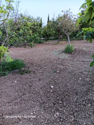 Undeveloped Land for sale in El Padrón, Estepona - € 550,000 (Ref: 10020501)