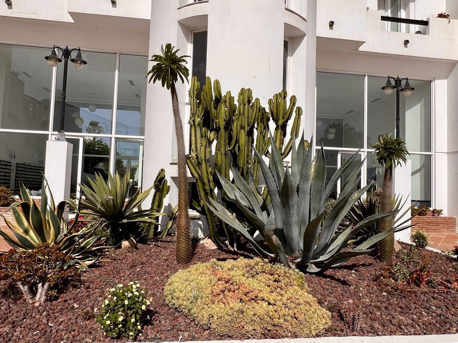2 Zimmer Apartment zu verkaufen in Estepona - 425.000 € (Ref: 10020517)